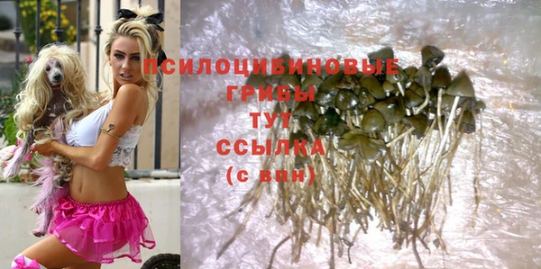 молекула духа Рославль