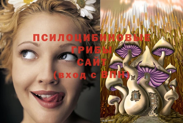 СК Абдулино