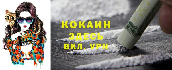 а пвп мука Абаза