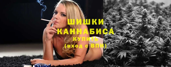 молекула духа Рославль